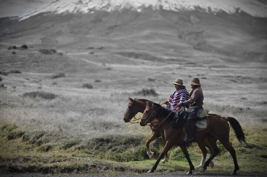 Local cowboy Cotopaxi Volcano 