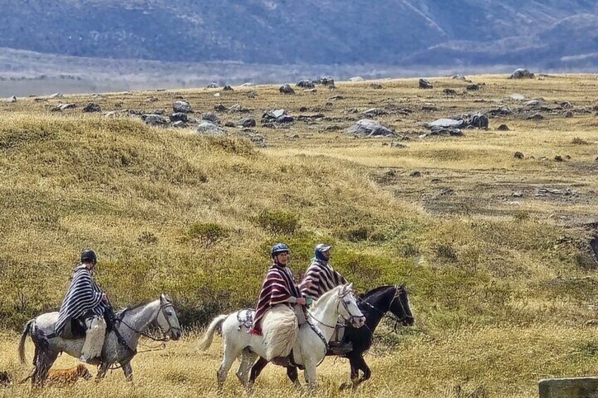 Horseback Riding Cotopaxi Beginners
