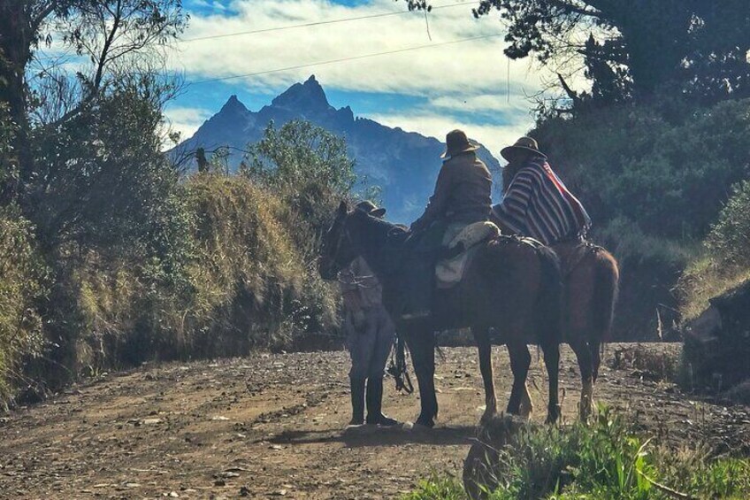 Local cowboy Cotopaxi Volcano Tour from Quito