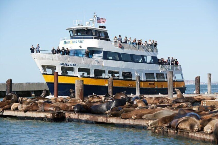 Alcatraz Day Tour and San Francisco Bay Cruise