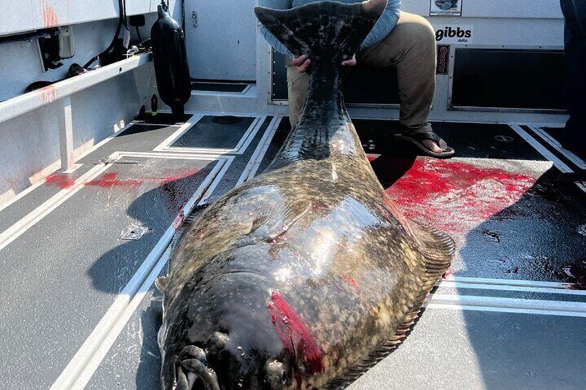 Fishing Charter in Ketchikan, Alaska