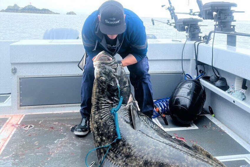 Fishing Charter in Ketchikan, Alaska