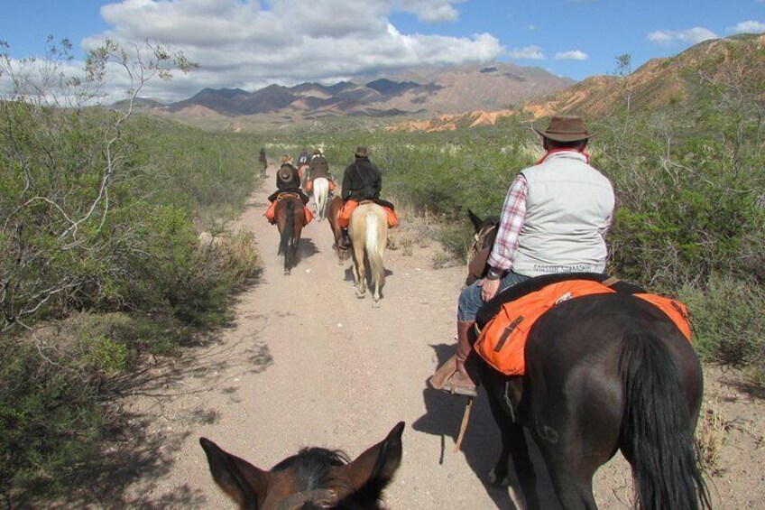 Horseback expedition to The Andes, 3 days
