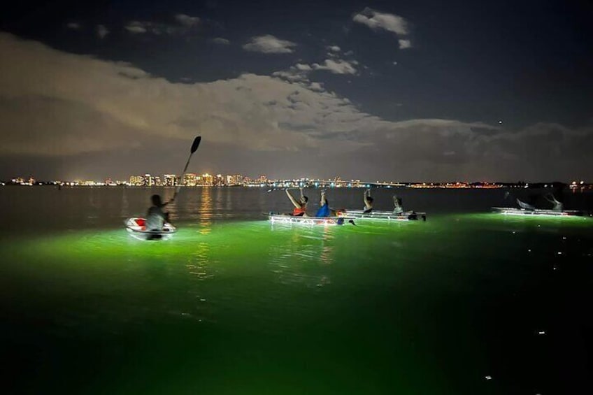 Clear Kayak LED Night Glass Bottom Tour - Sarasota