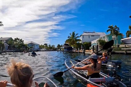 Clear Kayak Tours - Sarasota