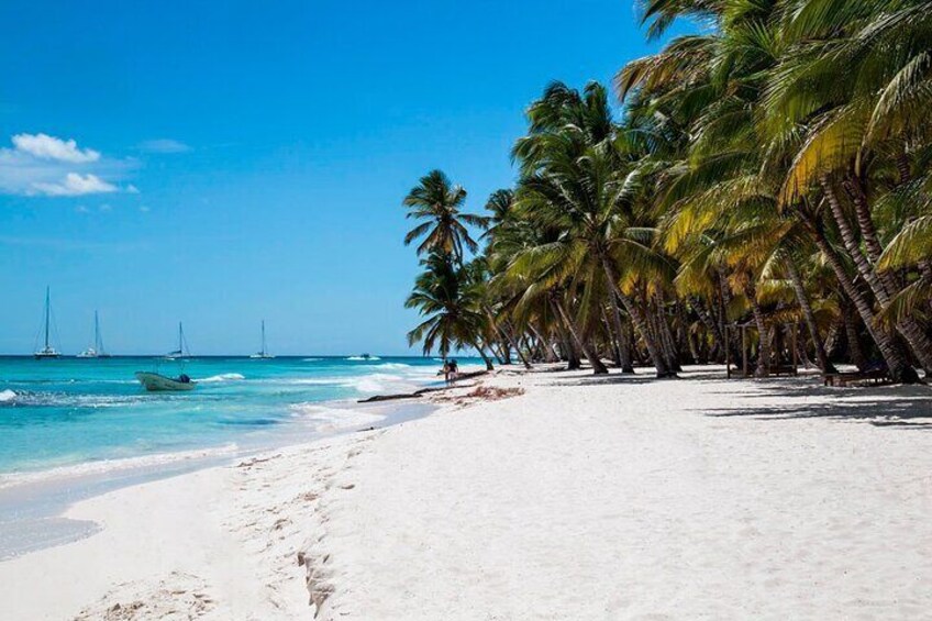 Full Day Saona Island Tour With Dominican Style Lunch and Drinks