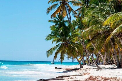 Katamarancruise til Saona med lunsj og naturlig svømmebasseng