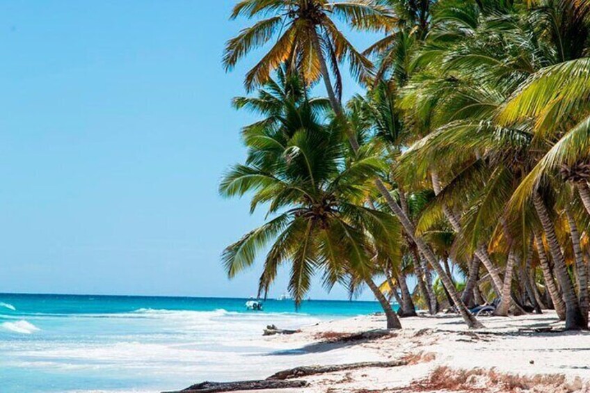 Catamaran Cruise to Saona with Lunch and Natural Swimming Pool