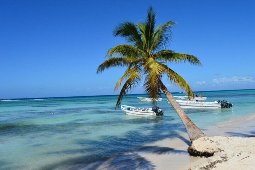 Full Day Saona Island Tour With Dominican Style Lunch and Drinks