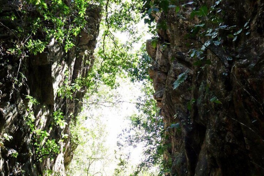 Private 4 hour Hiking Adventure in Nogalito Ecopark
