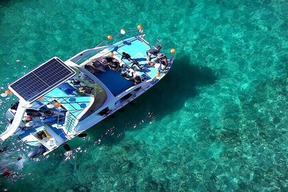 Luksus Open Bar Booze Cruise og Snorkel i Punta Cana