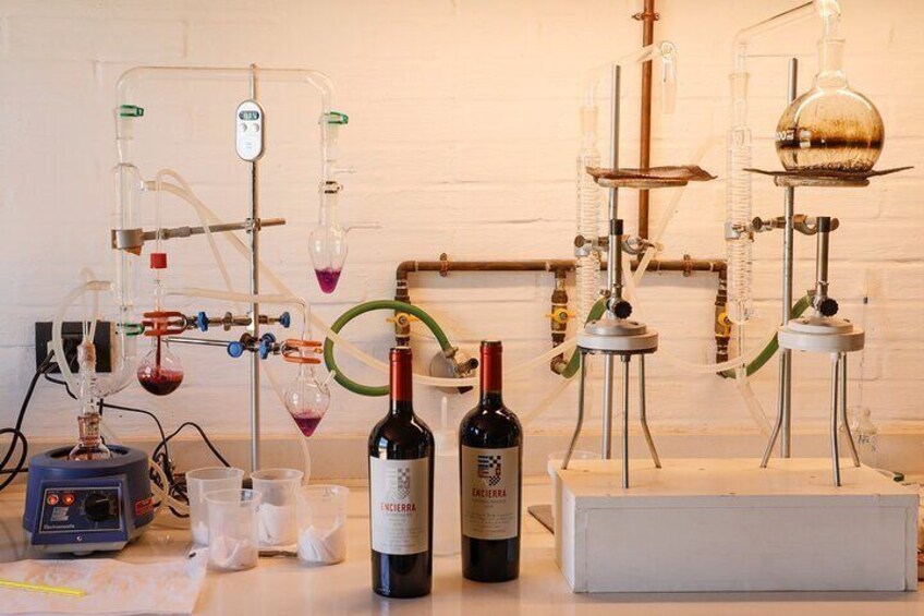 Wine Laboratory