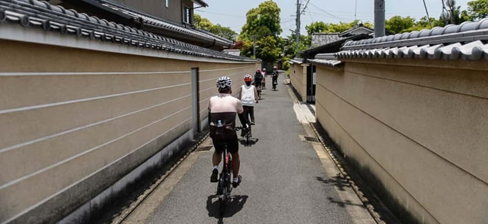 Picture 1 for Activity Kyoto: City Secrets eBike Tour