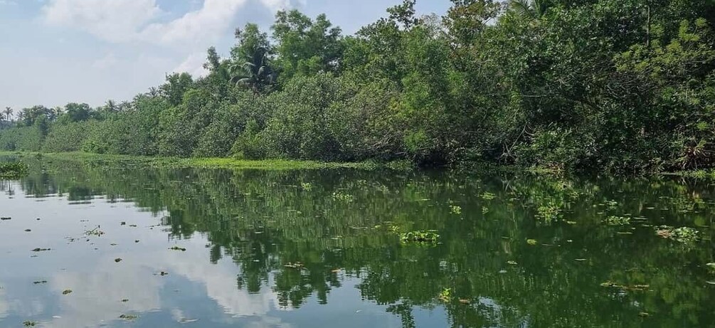 Picture 6 for Activity Cochin: Half-Day Backwater Village Eco Boat Cruise W/ Lunch