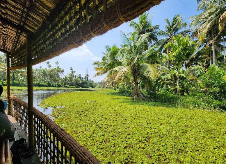 Picture 2 for Activity Cochin: Half-Day Backwater Village Eco Boat Cruise W/ Lunch