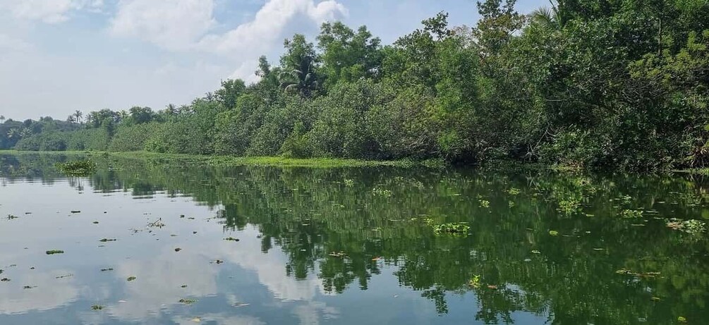 Picture 6 for Activity Cochin: Half-Day Backwater Village Eco Boat Cruise W/ Lunch