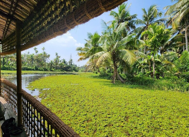 Picture 2 for Activity Cochin: Half-Day Backwater Village Eco Boat Cruise W/ Lunch