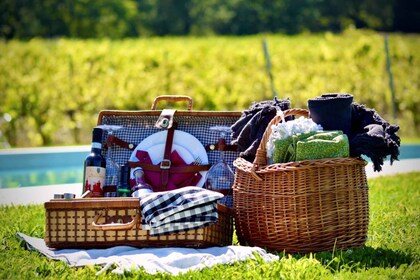 Montepulciano: Rondleiding door de wijnmakerij, proeverij en picknick in de...