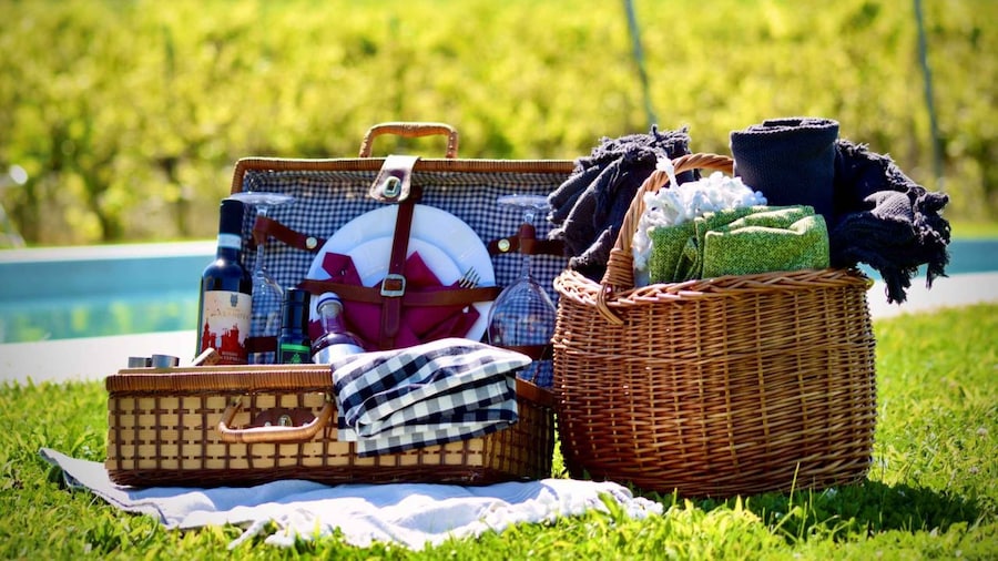 Montepulciano: Winery Tour, Tasting, and Vineyard Picnic