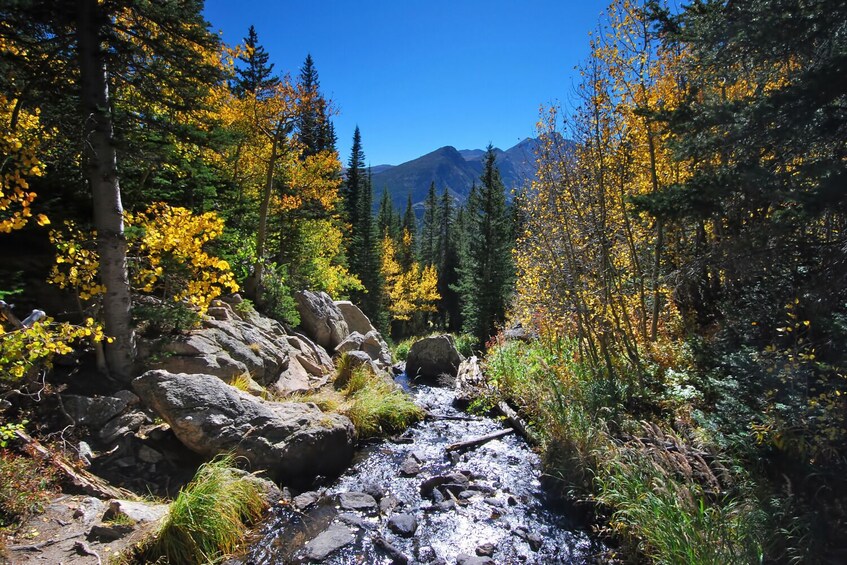 Rocky Mountain National Park Self-Guided Driving Audio Tour