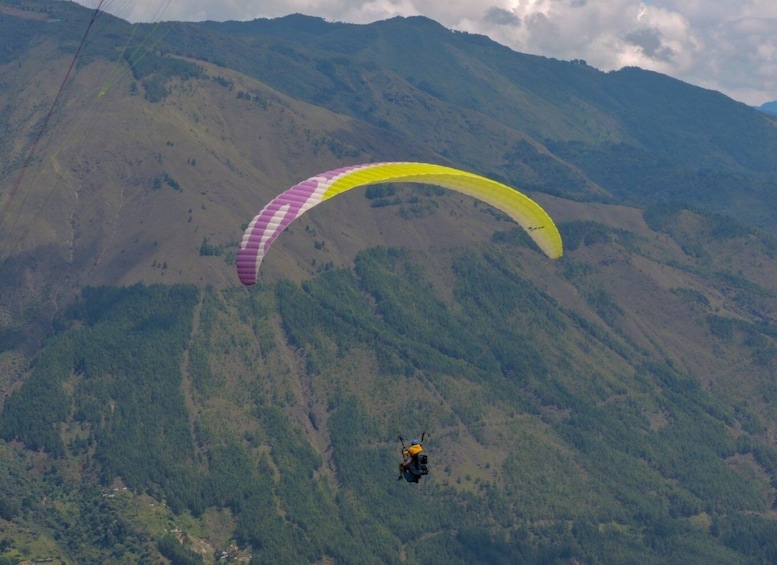 Picture 2 for Activity Paragliding Experience