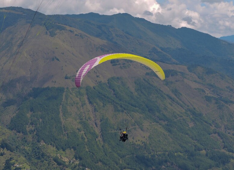 Picture 1 for Activity Paragliding Experience