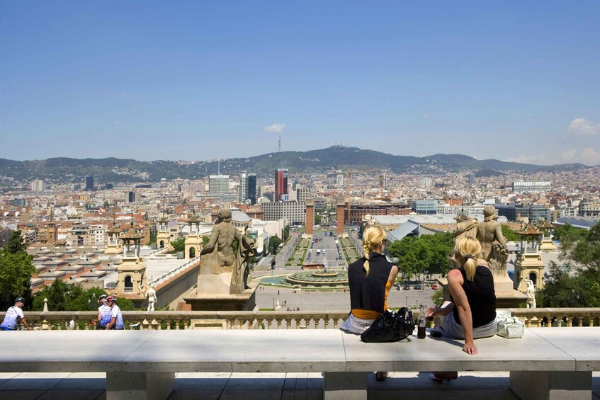 Picture 4 for Activity Barcelona: Museu Nacional d'Art de Catalunya Entrance Ticket