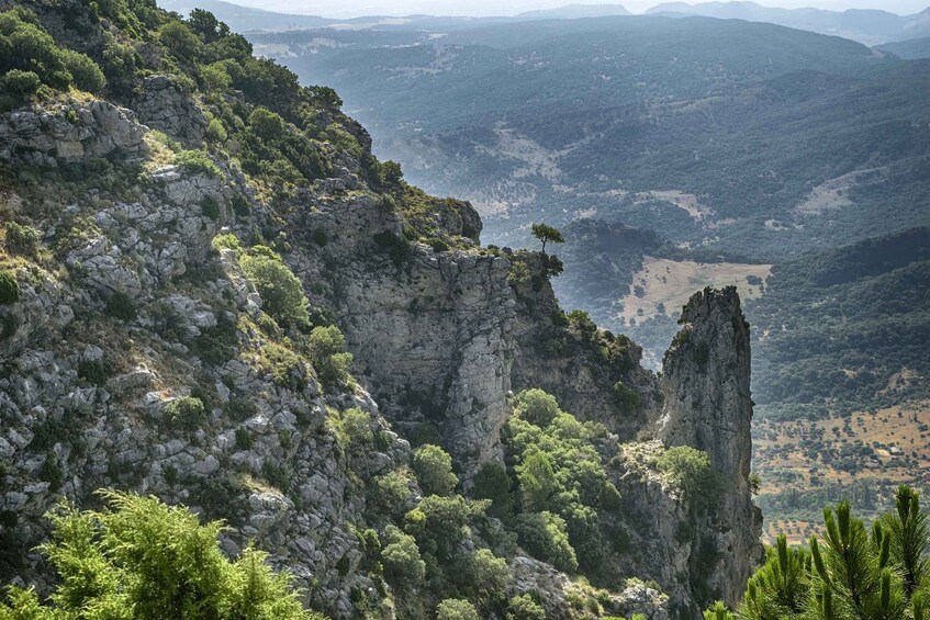 Picture 2 for Activity Cadiz, Jerez or El Puerto: White Towns of Andalusia Day Trip