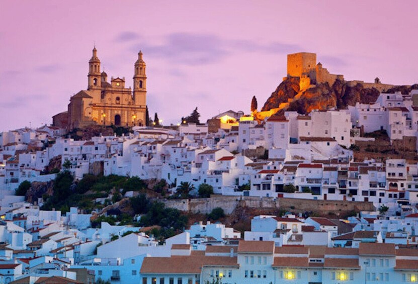 Cadiz, Jerez or El Puerto: White Towns of Andalusia Day Trip