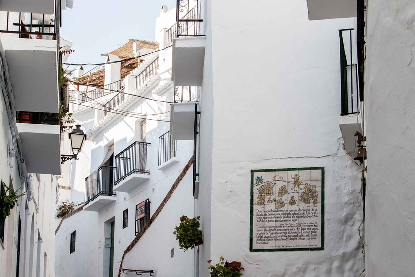 Picture 4 for Activity Cadiz, Jerez or El Puerto: White Towns of Andalusia Day Trip