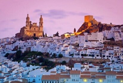 Cadiz, Jerez or El Puerto: White Towns of Andalusia Day Trip