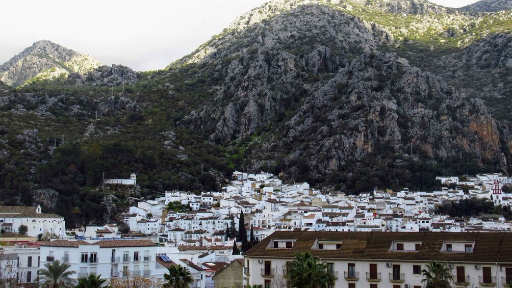 Picture 3 for Activity Cadiz, Jerez or El Puerto: White Towns of Andalusia Day Trip