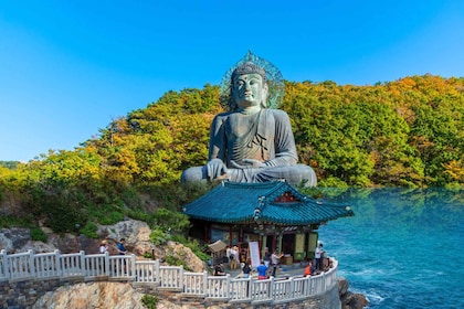 Seoul: Mt Seorak Hike with Naksansa Temple or Nami Island