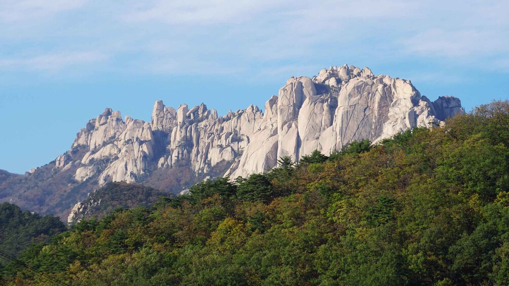 Picture 6 for Activity Seoul: Mt Seorak Hike with Naksansa Temple or Nami Island