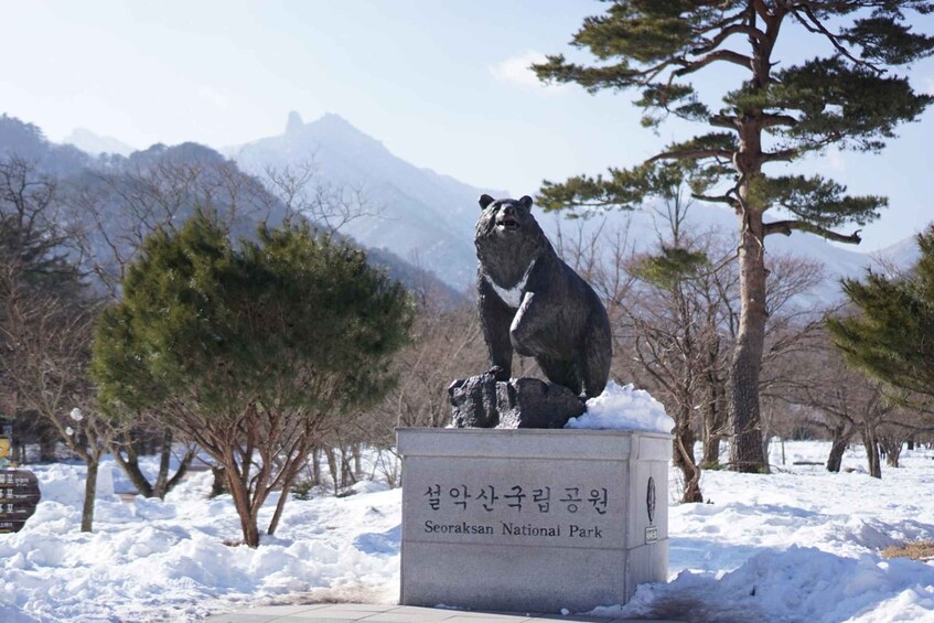 Picture 5 for Activity Seoul: Mt Seorak Hike with Naksansa Temple or Nami Island