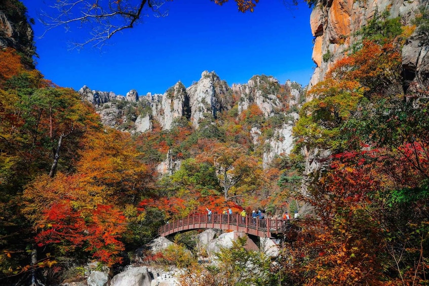 Picture 3 for Activity Seoul: Mt Seorak Hike with Naksansa Temple or Nami Island