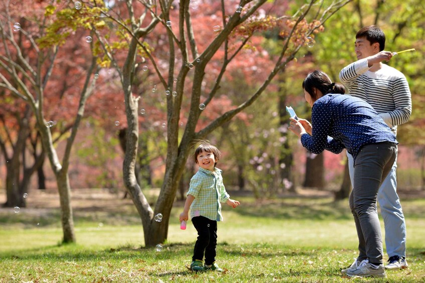 Picture 17 for Activity Seoul: Mt Seorak Hike with Naksansa Temple or Nami Island