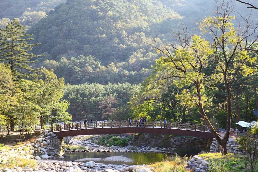 Picture 2 for Activity Seoul: Mt Seorak Hike with Naksansa Temple or Nami Island