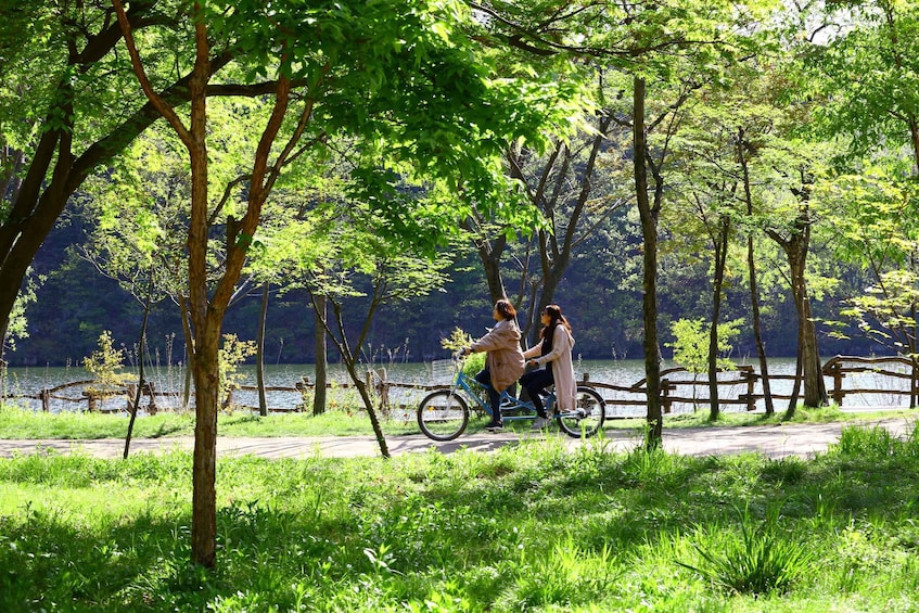 Picture 8 for Activity Seoul: Mt Seorak Hike with Naksansa Temple or Nami Island