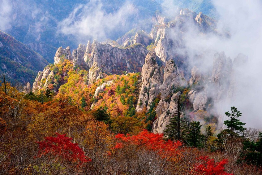 Picture 1 for Activity Seoul: Mt Seorak Hike with Naksansa Temple or Nami Island