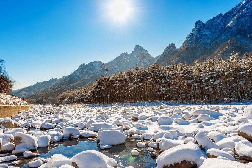 Picture 3 for Activity Seoul: Mt Seorak Hike with Naksansa Temple or Nami Island