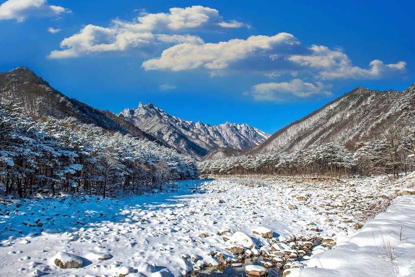 Picture 1 for Activity Seoul: Mt Seorak Hike with Naksansa Temple or Nami Island