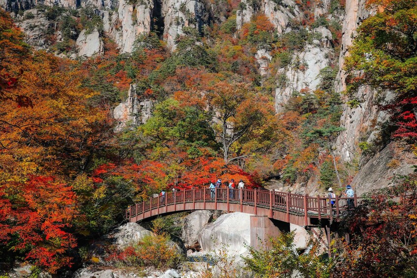 Picture 2 for Activity Seoul: Mt Seorak Hike with Naksansa Temple or Nami Island