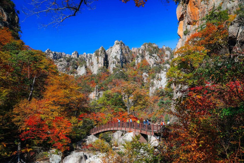 Picture 19 for Activity Seoul: Mt Seorak Hike with Naksansa Temple or Nami Island