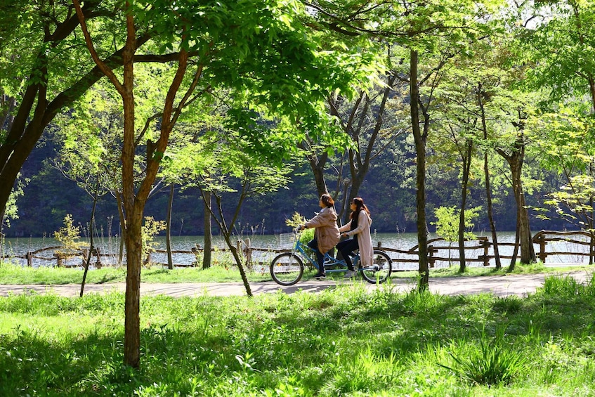 Picture 17 for Activity Seoul: Mt Seorak Hike with Naksansa Temple or Nami Island