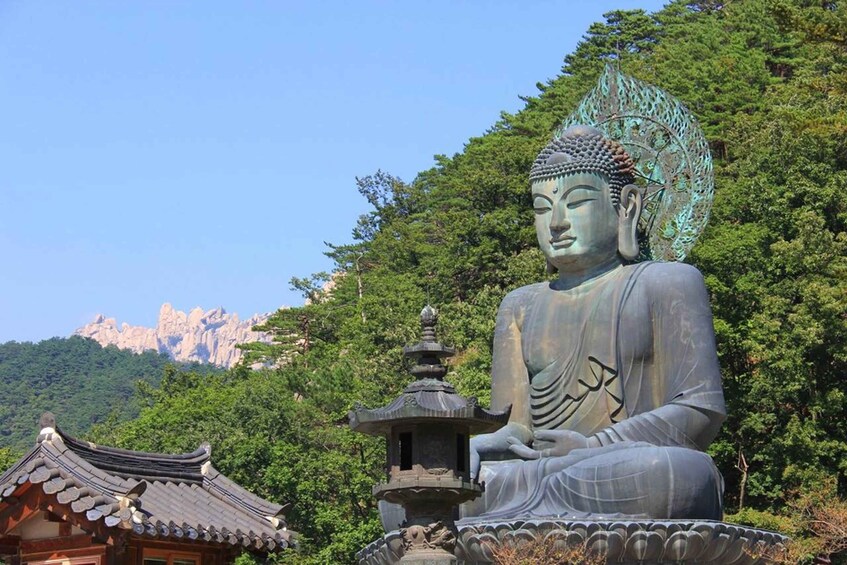 Picture 6 for Activity Seoul: Mt Seorak Hike with Naksansa Temple or Nami Island