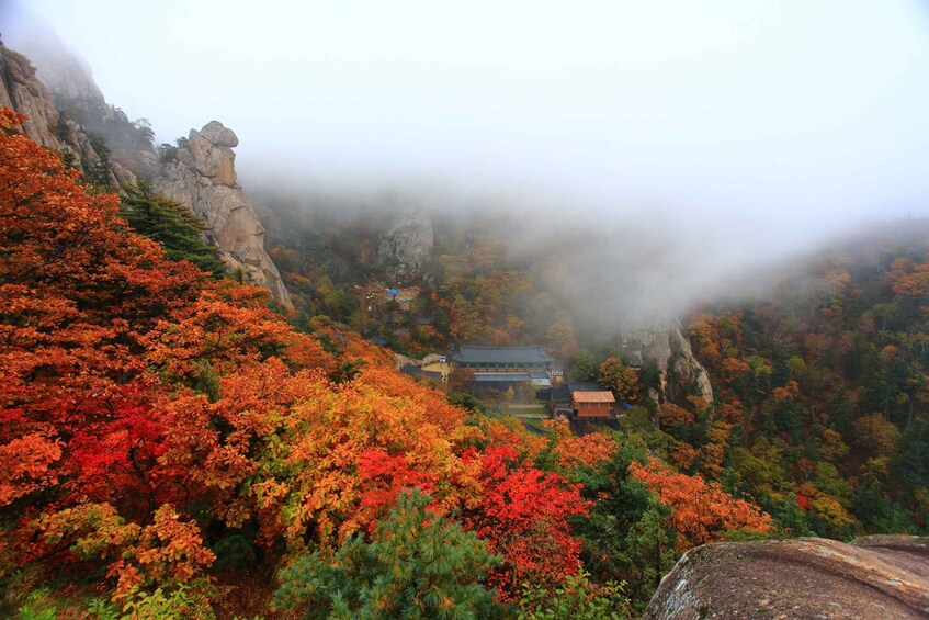 Picture 20 for Activity Seoul: Mt Seorak Hike with Naksansa Temple or Nami Island