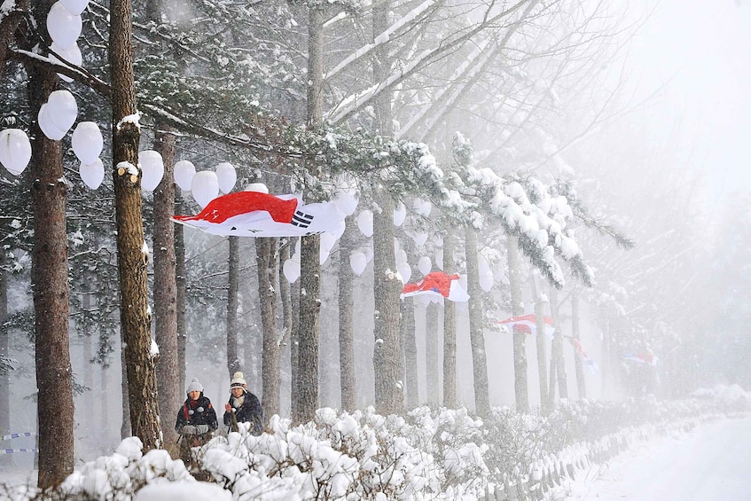 Picture 17 for Activity Seoul: Mt Seorak Hike with Naksansa Temple or Nami Island