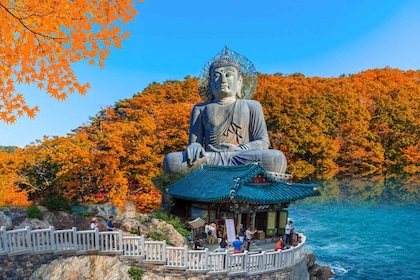 Seoul: Mt Seorak Hike with Naksansa Temple or Nami Island