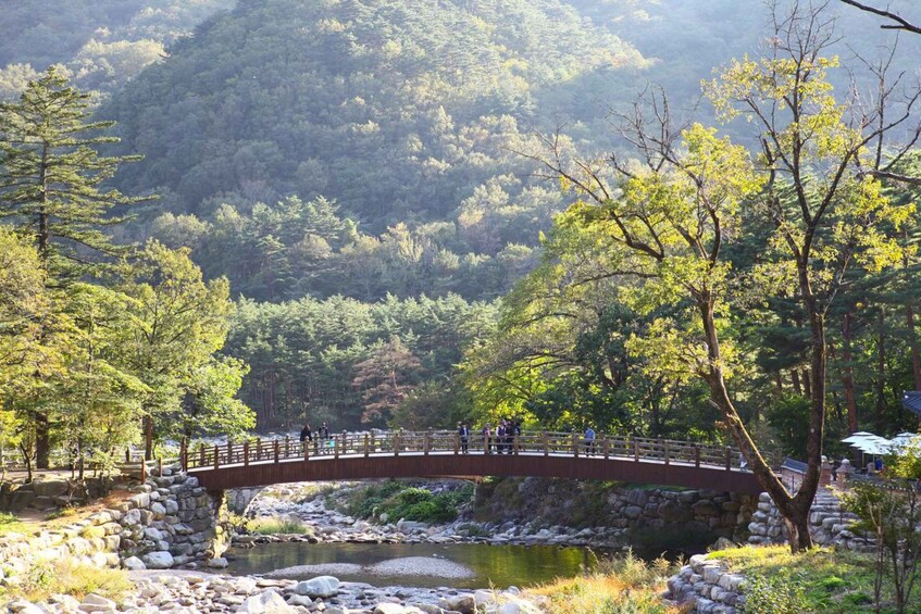 Picture 21 for Activity Seoul: Mt Seorak Hike with Naksansa Temple or Nami Island